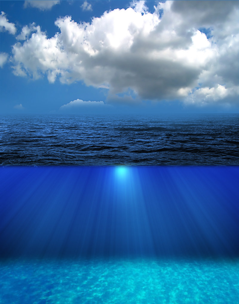 【open-ocean】什么意思_英语open-ocean的翻译_音标