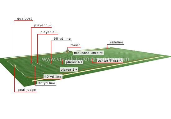 【playing_field】什么意思_英语playing_field的翻译