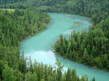 龙湾国家级自然保护区