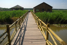 如图有亮点的竹木竹桥 如图有亮点的竹木竹桥