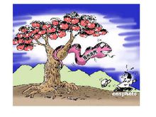 零和博弈 零和博弈