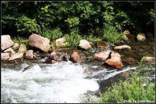 本溪国家森林公园 本溪国家森林公园