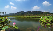 长广溪国家城市湿地公园