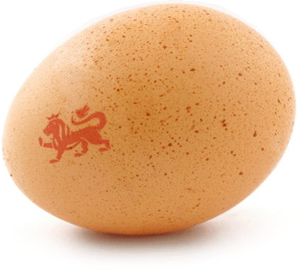 【egg】什么意思_英语egg的翻译_音标_读音