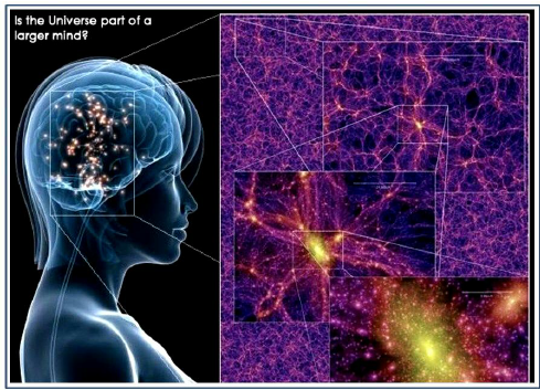 什么意思_英语individual_consciousness的翻译_音标_读音_用法_例句